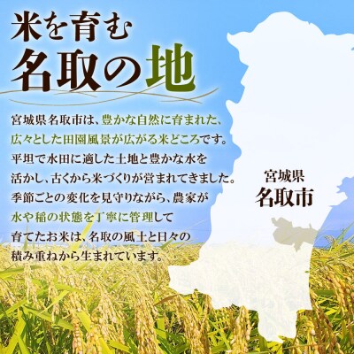 令和7年産 宮城県名取市産 ひとめぼれ 白米 10kg|21_kkn-051001