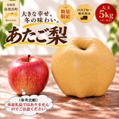 あたご梨5kg(14M.)
