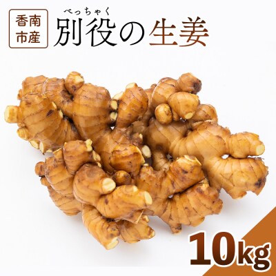 【通年出荷】生姜 10kg 別役の生姜 高知 bc-0028