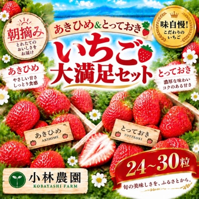 ■小林農園■味自慢!いちご大満足セット(24M.)