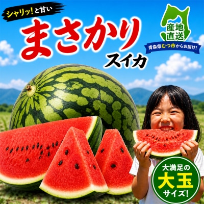 令和9年度発送予約商品【まさかりスイカ】大玉7～9kg(2Lサイズ以上)