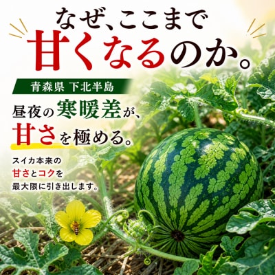 令和9年度発送予約商品【まさかりスイカ】大玉7～9kg(2Lサイズ以上)