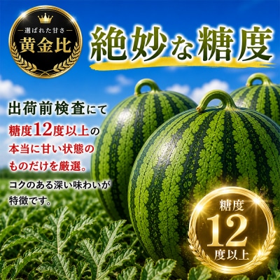 令和9年度発送予約商品【まさかりスイカ】大玉7～9kg(2Lサイズ以上)