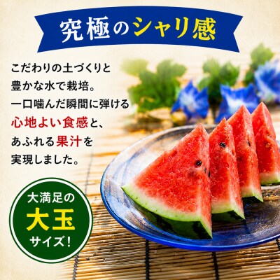令和9年度発送予約商品【まさかりスイカ】大玉7～9kg(2Lサイズ以上)