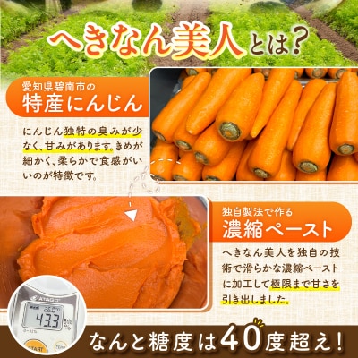 【へきなん美人たっぷり!】極 へきなん美人のチーズケーキ 4号 12㎝ H206-001