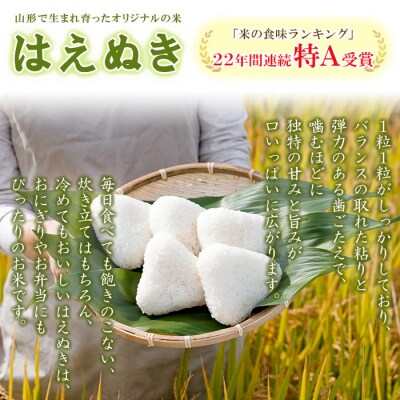 【定期便6回】令和8年産 山形産 はえぬき 5kg×6ヶ月(計30kg) FZ26-036
