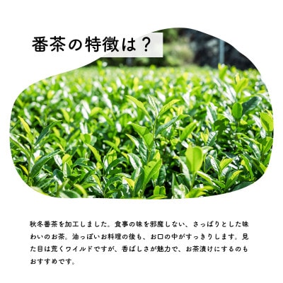 土佐霧山茶 ご飯時の番茶 リーフタイプセット