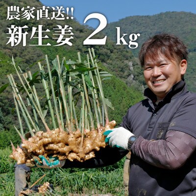 【先行受付】農家直送!秋の新生姜 2kg
