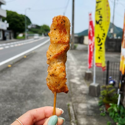 四万十鶏 鶏むね肉 串刺し 唐揚げ 12本 からあげ