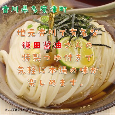 純生讃岐うどん(10人前、つゆ付)2セット【B-19】