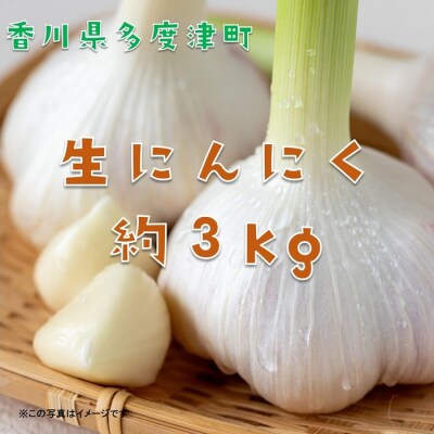 多度津町産　生にんにく【B-22】