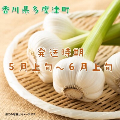 多度津町産　生にんにく【B-22】