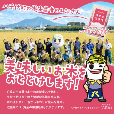 令和8年産 茨城県産 新米 あきたこまち 精米 20kg (5kg x 4袋)