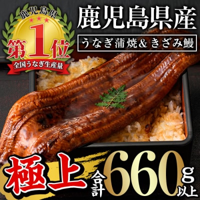 鹿児島県産うなぎ蒲焼きざみセット<極上>(約160～236g×3尾・きざみ50g×2袋) タレ・