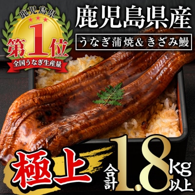 鹿児島県産うなぎ蒲焼きざみセット<極上>(160～236g×7尾　きざみ鰻50g×10袋　タレ・