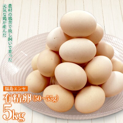 玉川村産 有精卵50～55g 90玉(割れ保証10玉含む) 栄養満点 タマゴ 玉子 エッグ 国産