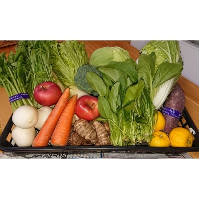 季節の産直売場の野菜と果物詰め合わせ(小)