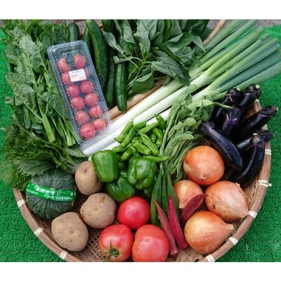 季節の産直売場の野菜と果物詰め合わせ(大)