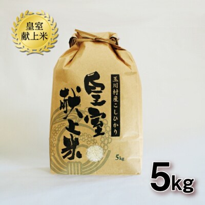 玉川村産コシヒカリ 5kg こめ コメ FT18-266