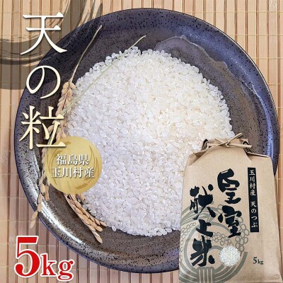令和7年度産 新米 天のつぶ 5kg 福島県玉川村産 こめ コメ FT18-274