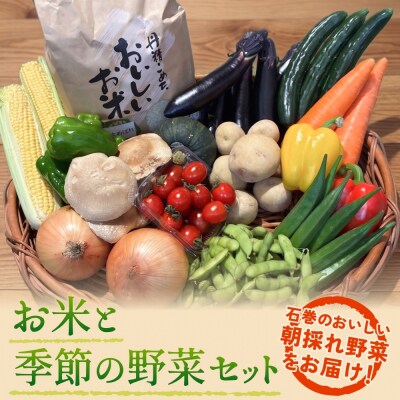 石巻産 お米と季野菜セット 朝採れ 旬の野菜 季節の野菜 お野菜 米 詰め合わせ 新鮮
