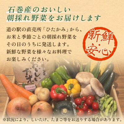 石巻産 お米と季野菜セット 朝採れ 旬の野菜 季節の野菜 お野菜 米 詰め合わせ 新鮮