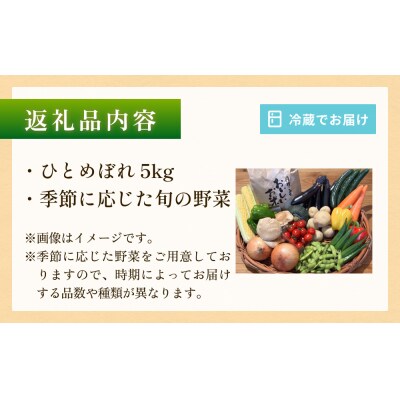 石巻産 お米と季野菜セット 朝採れ 旬の野菜 季節の野菜 お野菜 米 詰め合わせ 新鮮