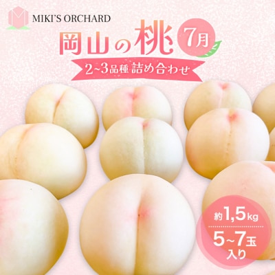 桃 【訳あり 2級品】 2027年 先行予約 7月の桃 詰め合わせ[NO5765-1245]