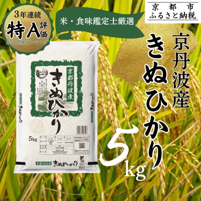 <令和8年産> 京都丹波産 きぬひかり 5kg|京都 人気 米 精米 おすすめ
