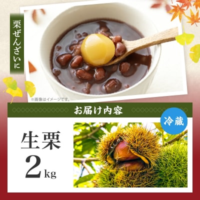 高千穂・ひのかげくり(9月限定) 2kg