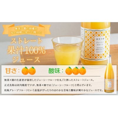 <無茶々園のジューシーフルーツジュース 720ml 6本>愛媛 えひめ ストレート