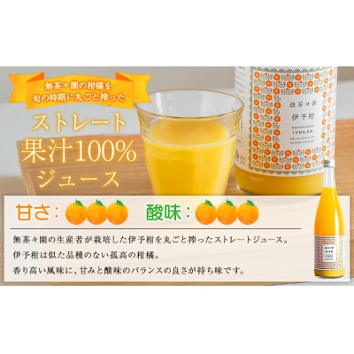 <無茶々園の伊予柑ジュース 720ml 6本>愛媛 えひめ 果汁100% ストレート