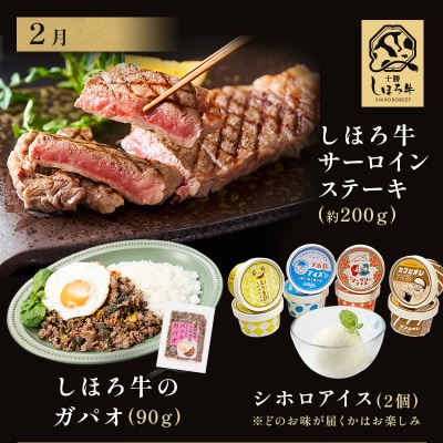 <全5回> 道の駅定期便 ピア21しほろ スタッフ特選セット 【L905】