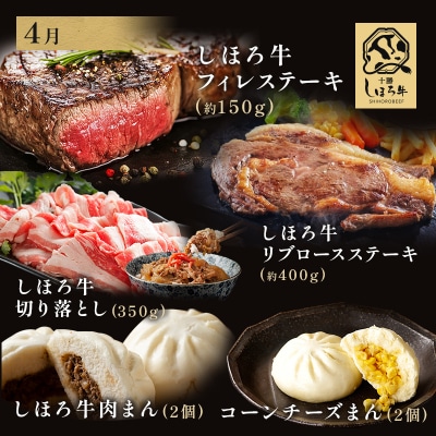 <全5回> 道の駅定期便 ピア21しほろ スタッフ特選セット 【L905】