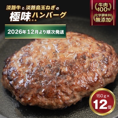 淡路島 極味ハンバーグ 150g×12個【2026年12月より順次発送】　ao05174