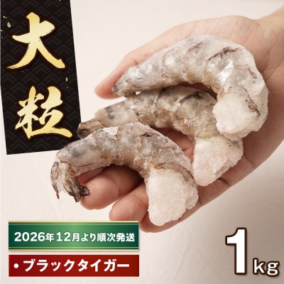 至福の大粒むきえび　背ワタ処理済 1kg【2026年12月より順次発送】　ao10027