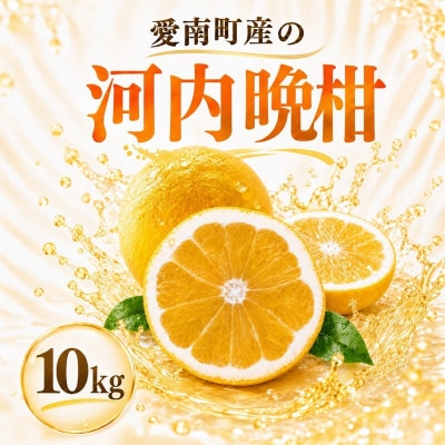 【先行予約】河内晩柑 ばんかん 10kg 家庭 柑橘 みかん マルエム直販 愛媛県 愛南町
