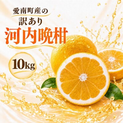 【先行予約】訳あり 河内晩柑 ばんかん 約 10kg 不揃い マルエム直販 愛媛県 愛南町