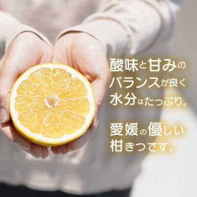 【先行予約】訳あり 河内晩柑 ばんかん 約 10kg 不揃い マルエム直販 愛媛県 愛南町