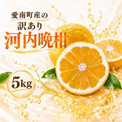 【先行予約】訳あり 河内晩柑 ばんかん 約 5kg 不揃い マルエム直販 愛媛県 愛南町