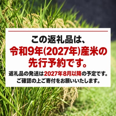新米 令和9年産 にじのきらめき 5kg お米 白米 精米 米 こめ 国産 数量限定 愛南町 愛媛県