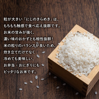 新米 令和9年産 にじのきらめき 5kg お米 白米 精米 米 こめ 国産 数量限定 愛南町 愛媛県