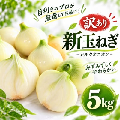 【先行予約】訳あり 新たまねぎ 5kg シルクオニオン サイズミックス 愛南町青果市場