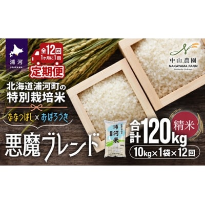 北海道浦河町の特別栽培米「悪魔ブレンド」精米(10kg×1袋)定期便(全12回)[37-1654]