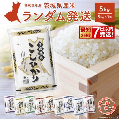 ◎新米◎ 白米 ランダム 5kg 米 令和8年産 米 最短2日後発送 K2464
