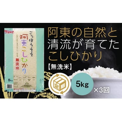 阿東こしひかり(無洗米5キログラム)3か月定期便 C156