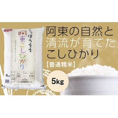 阿東こしひかり(普通精米5キログラム) D747