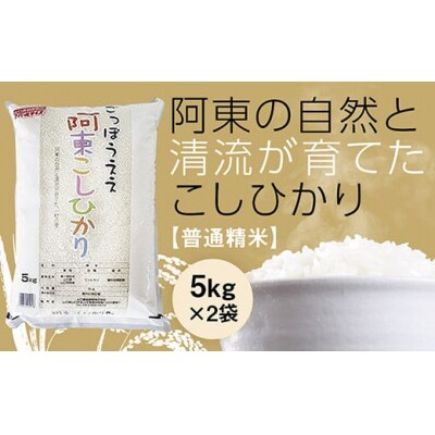 阿東こしひかり(普通精米5キログラム×2) D748
