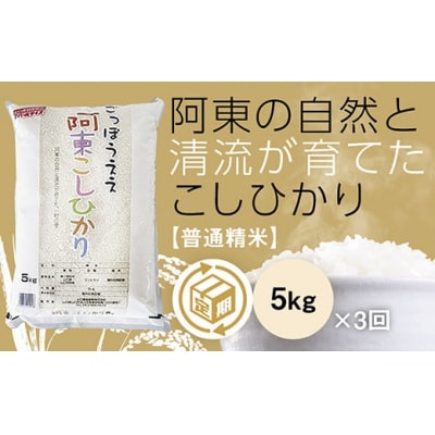 阿東こしひかり(普通精米5キログラム)3か月定期便 C157