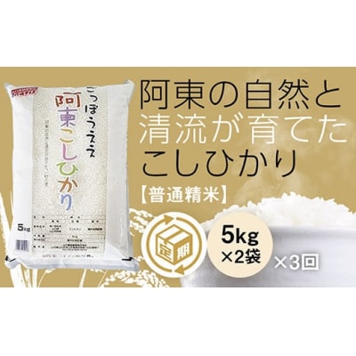 阿東こしひかり(普通精米5キログラム×2)3か月定期便 B126
